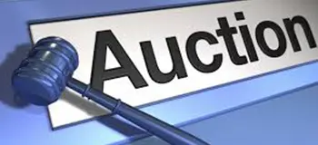 Database Creation for The Details from Auction Sites Through Links Provided by The Client