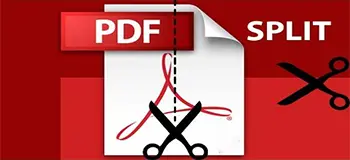Processing of Document and Splitting of PDF Files for Online Billing Systems