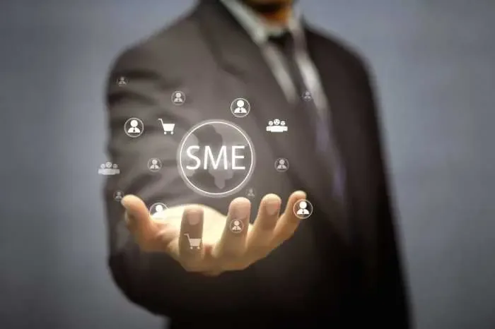 How Data Entry Assistants & Specialists are More Impactful Help for SMEs