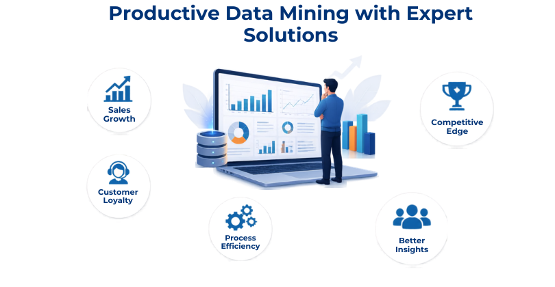 Productive Data Mining with Expert Solutions