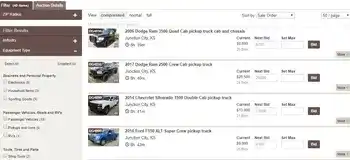 Data Collection from Online Auction Case Study