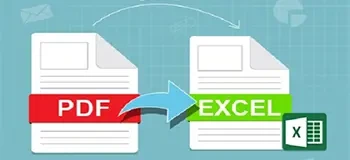 PDF to Excel Data Entry Services Case Study